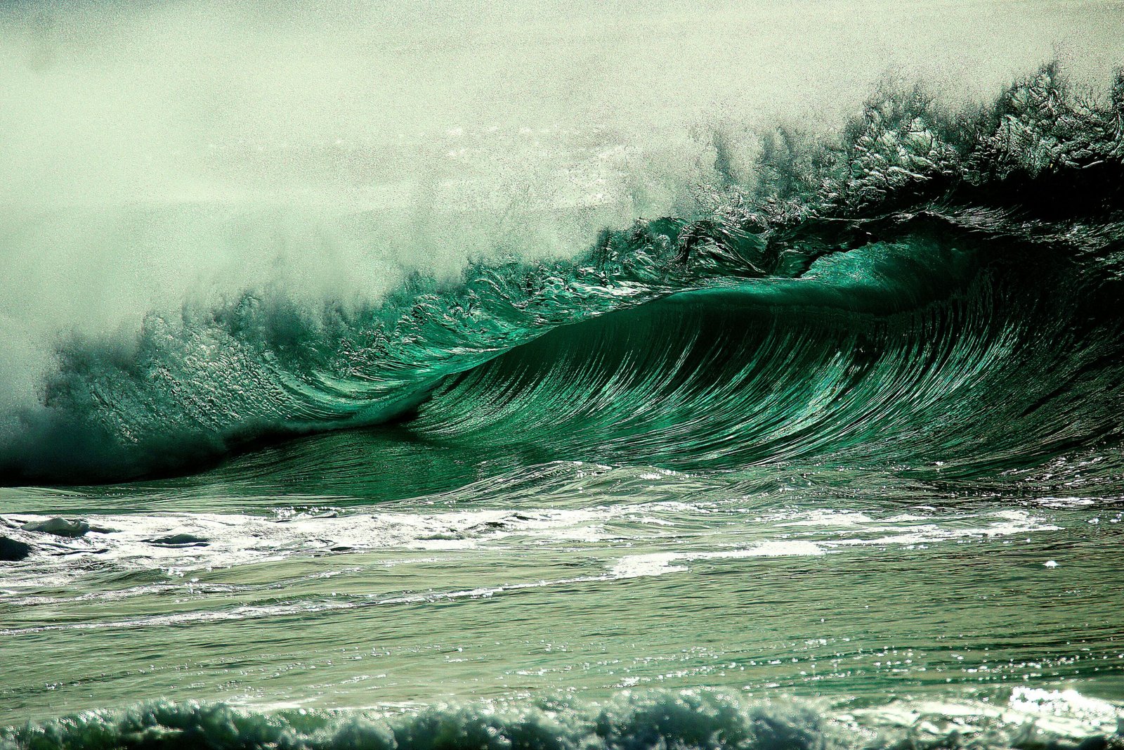 A stunning capture of a powerful ocean wave, showcasing nature's force and beauty in vivid detail.
