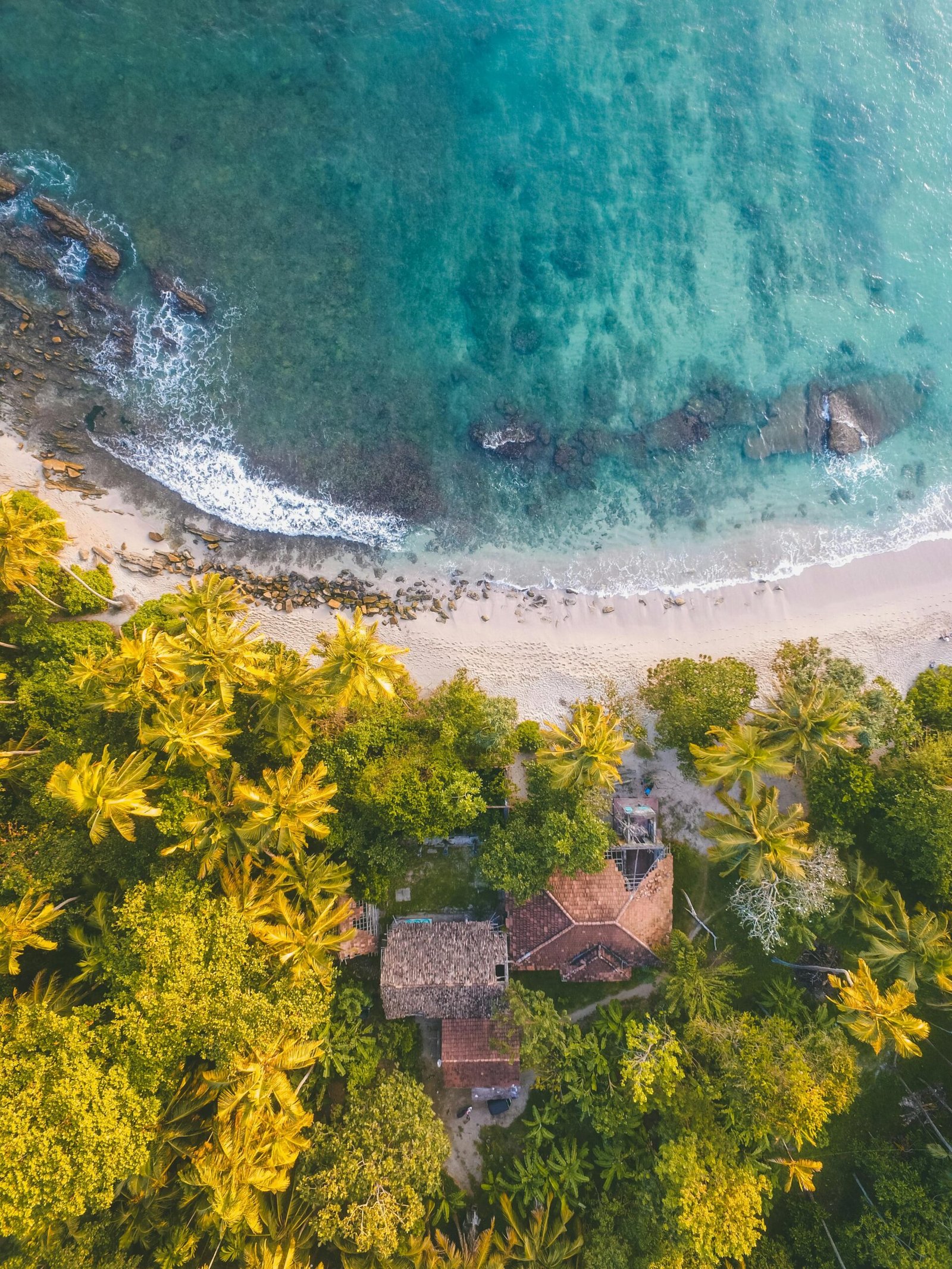 Breathtaking aerial view of palm-lined beach in Dambulla, Sri Lanka with turquoise waters.