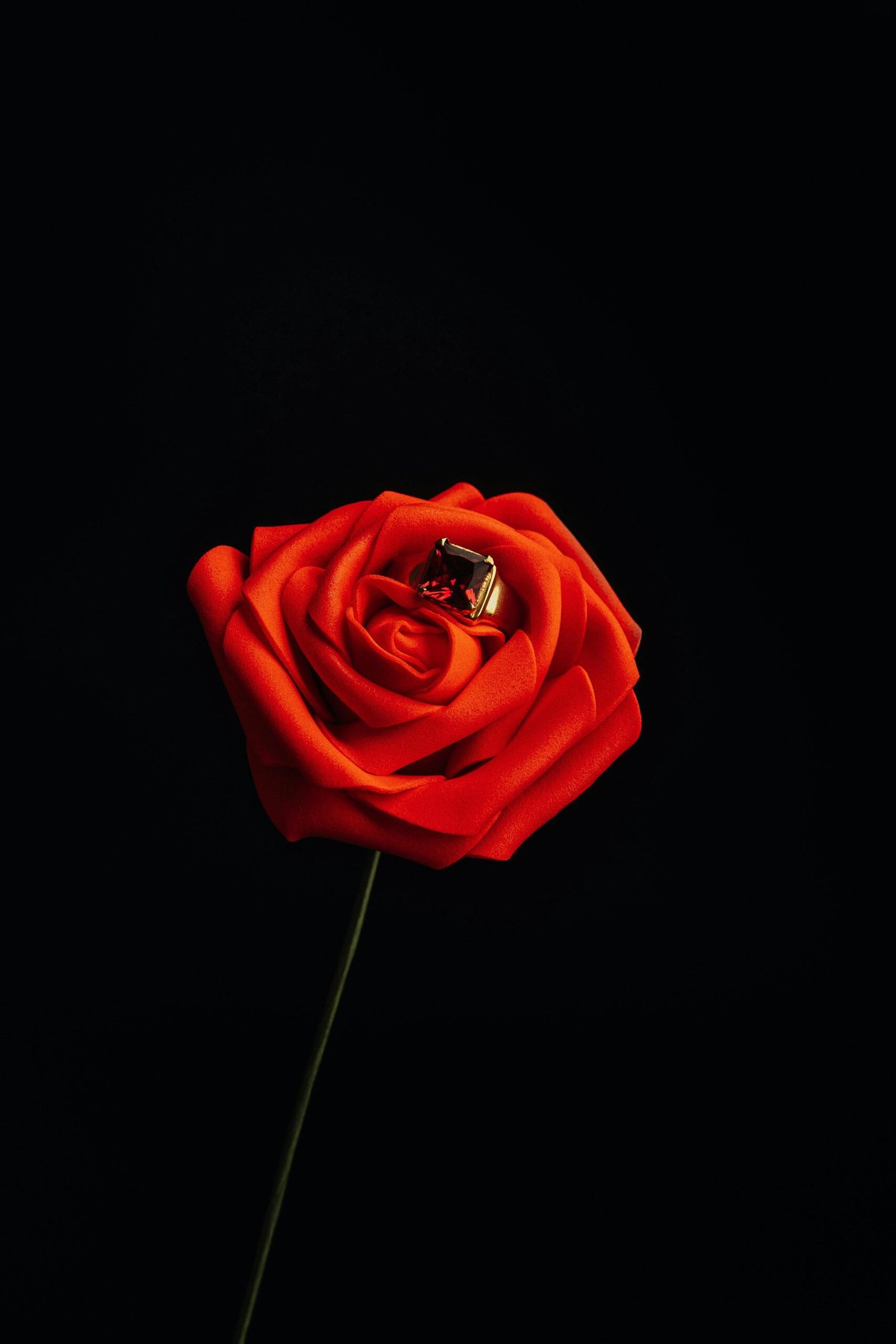 Close-up of a vibrant red rose with a ruby ring, set against a black background, offering a dramatic contrast.