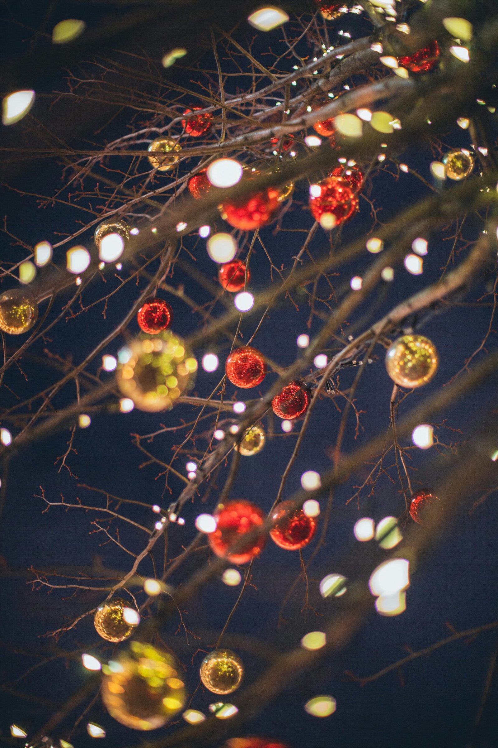 Twinkling red and gold baubles with fairy lights adorning winter branches, creating a festive atmosphere.