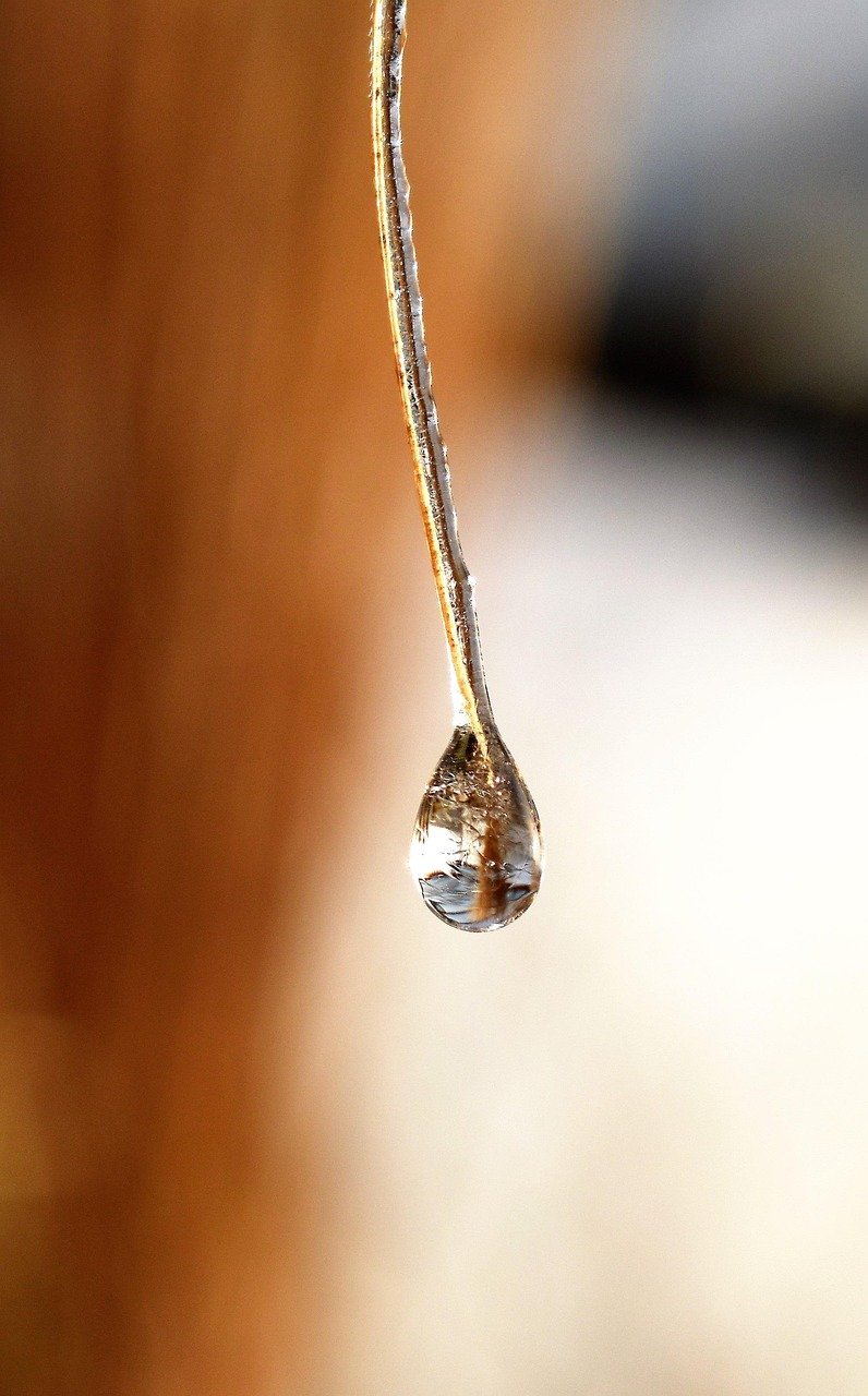 drops, dew, nature, dewdrop, leaf, grass, waterdrop, fall, morning dew, close up, water, plant, defrost