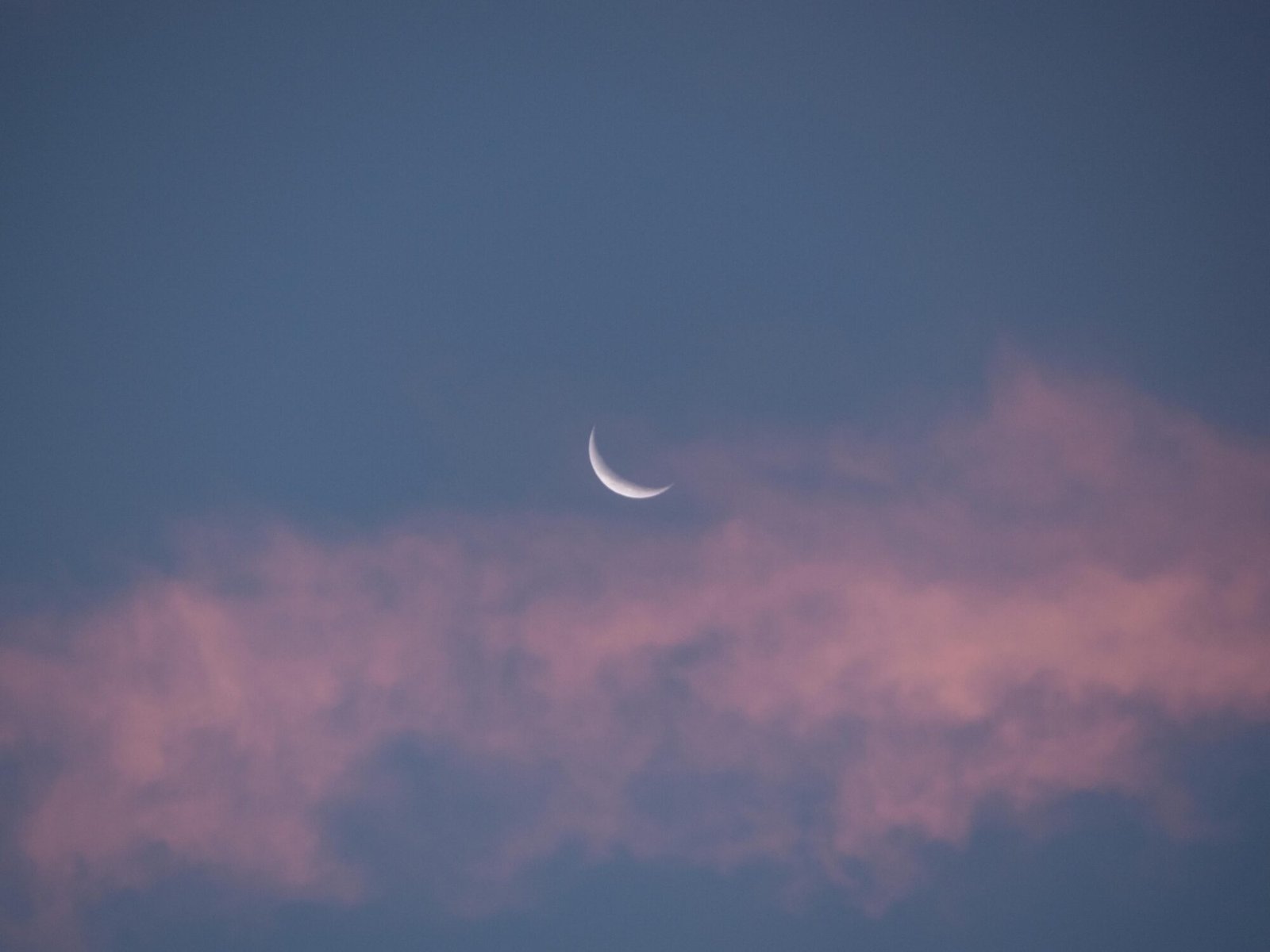 A serene crescent moon amid pink clouds during dusk. Perfect for tranquil and nature themes.